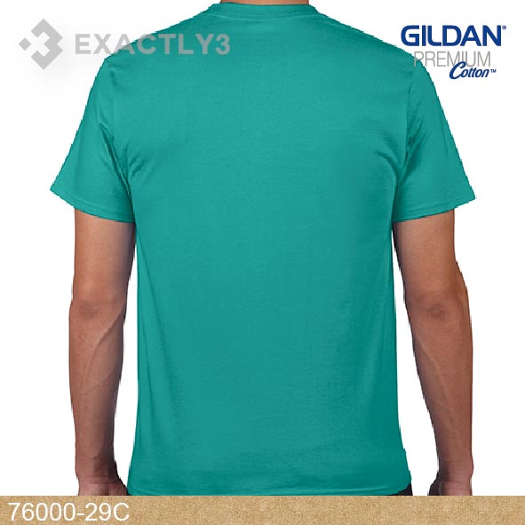 Gildan 76000 29C (印圓領T-Shirt / 最多印衫選擇)